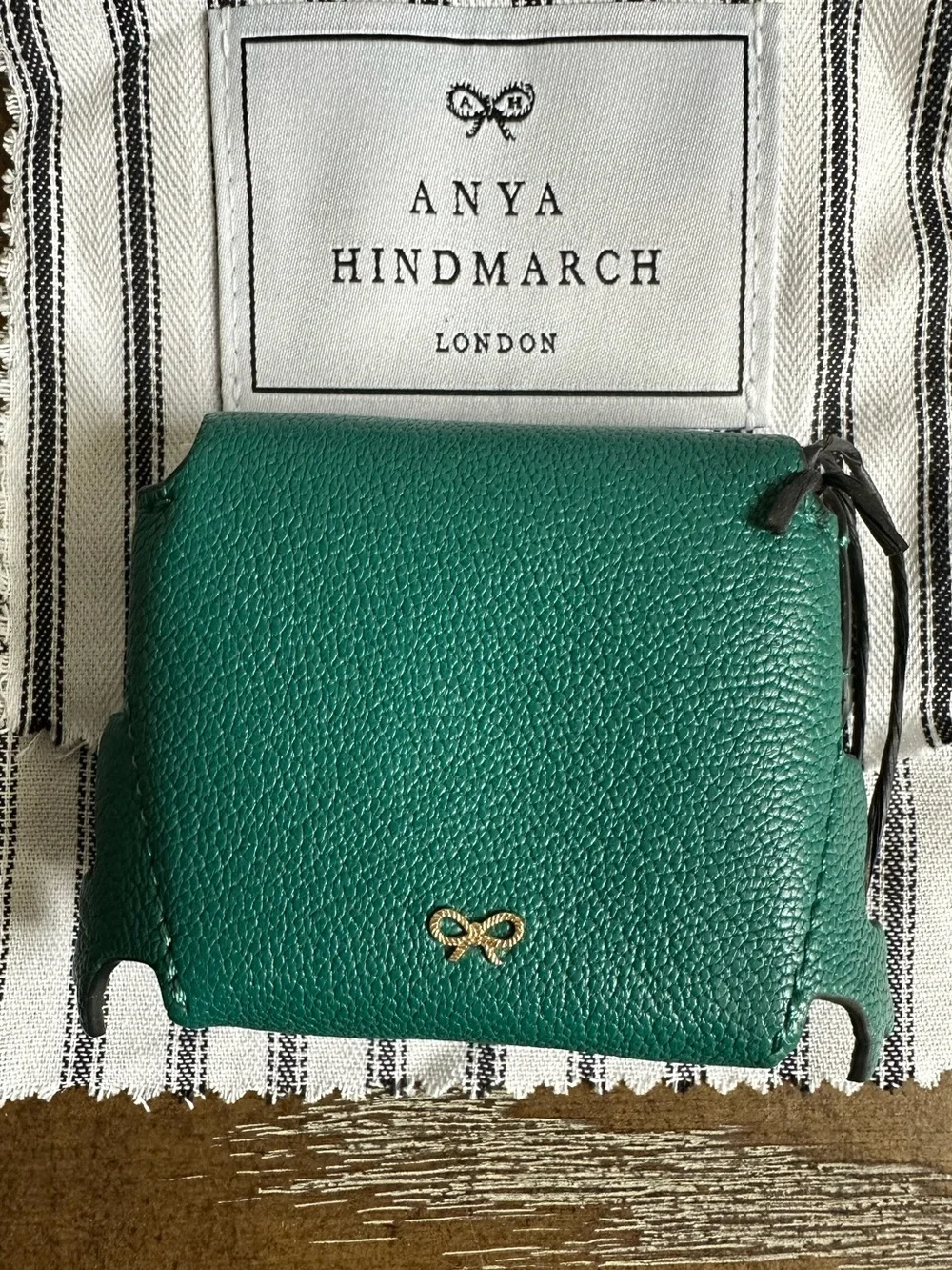 Anya Hindmarch ear phones pouch frog